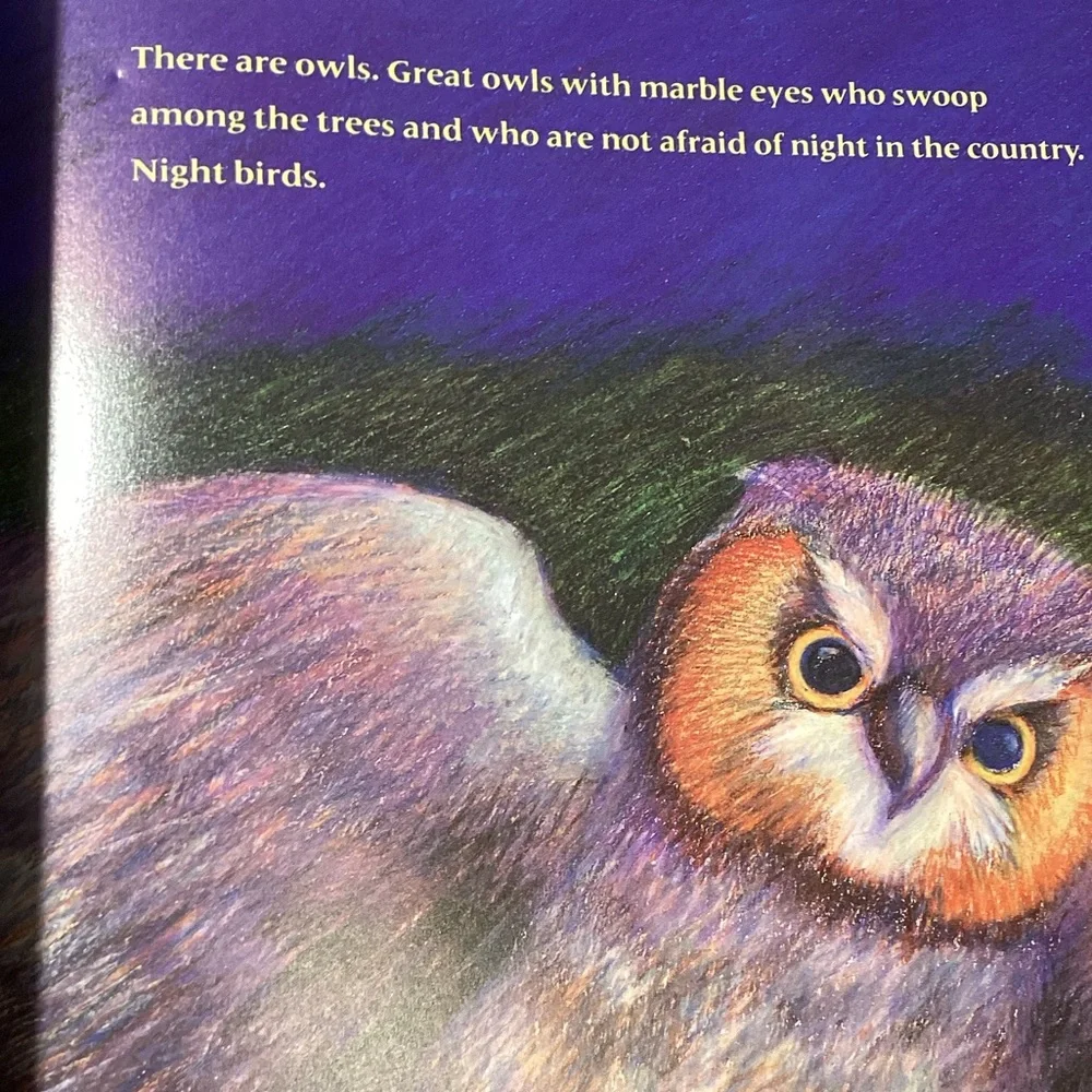 Night in the Country by Cynthia Rylan